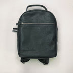 Stylish men's backpack